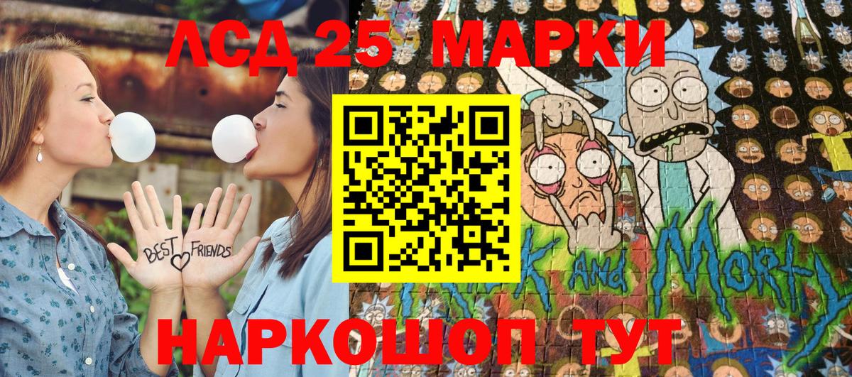 Псилоцибиновые грибы Кудрово